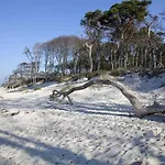 Apartment, On The - Pure Relaxation Feriehus Zingst