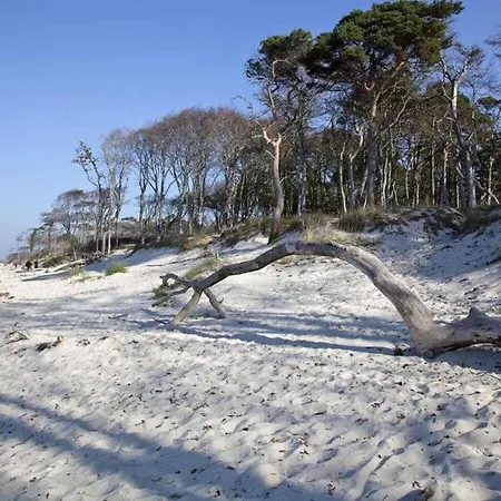 Apartment, On The - Pure Relaxation Hébergement de vacances Zingst